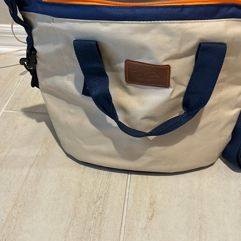 Disney’s cruise line cooler, see pictures tan and blue and orange